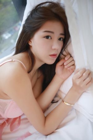 10天的爱人满天星