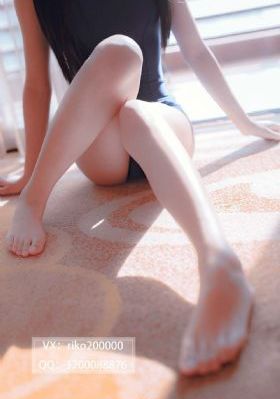 电视剧家有九凤全集在线观看