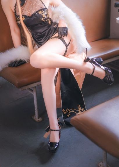 人与畜禽