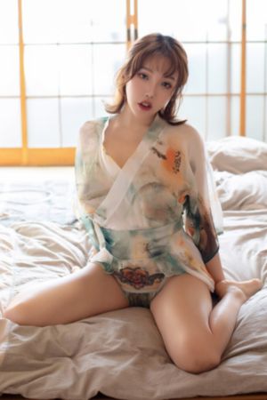 电视剧杀狼花